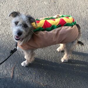Hot Dog Halloween Costume for Dogs Size L